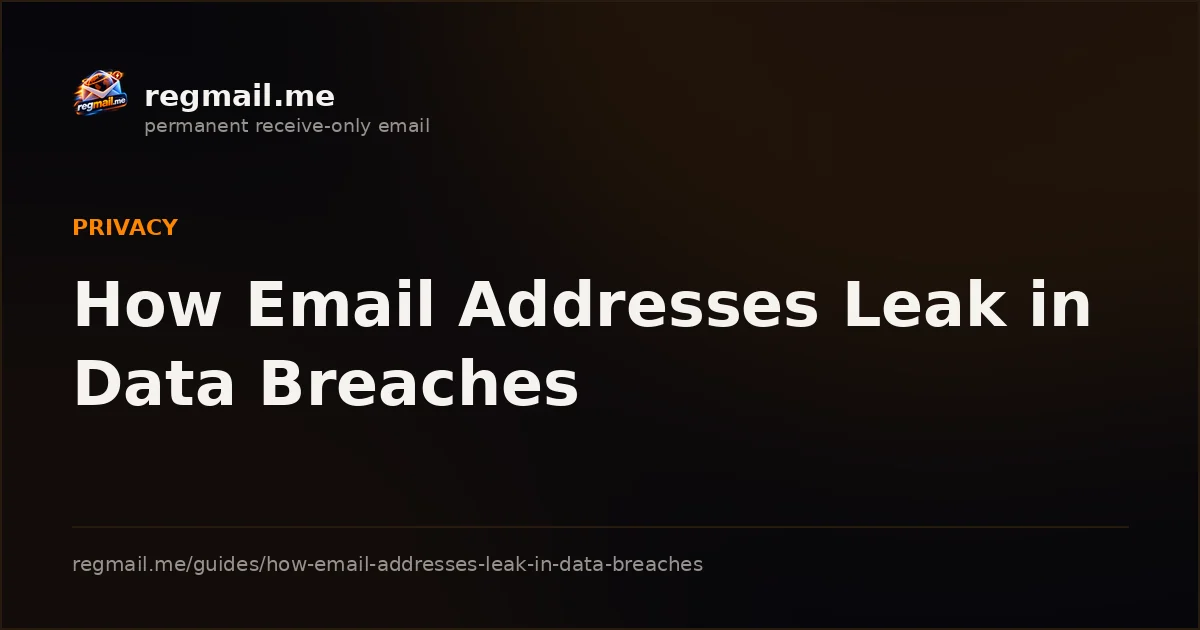 Cover card from regmail.me for the guide How Email Addresses Leak in Data Breaches, white title text on a dark background beside the regmail.me logo